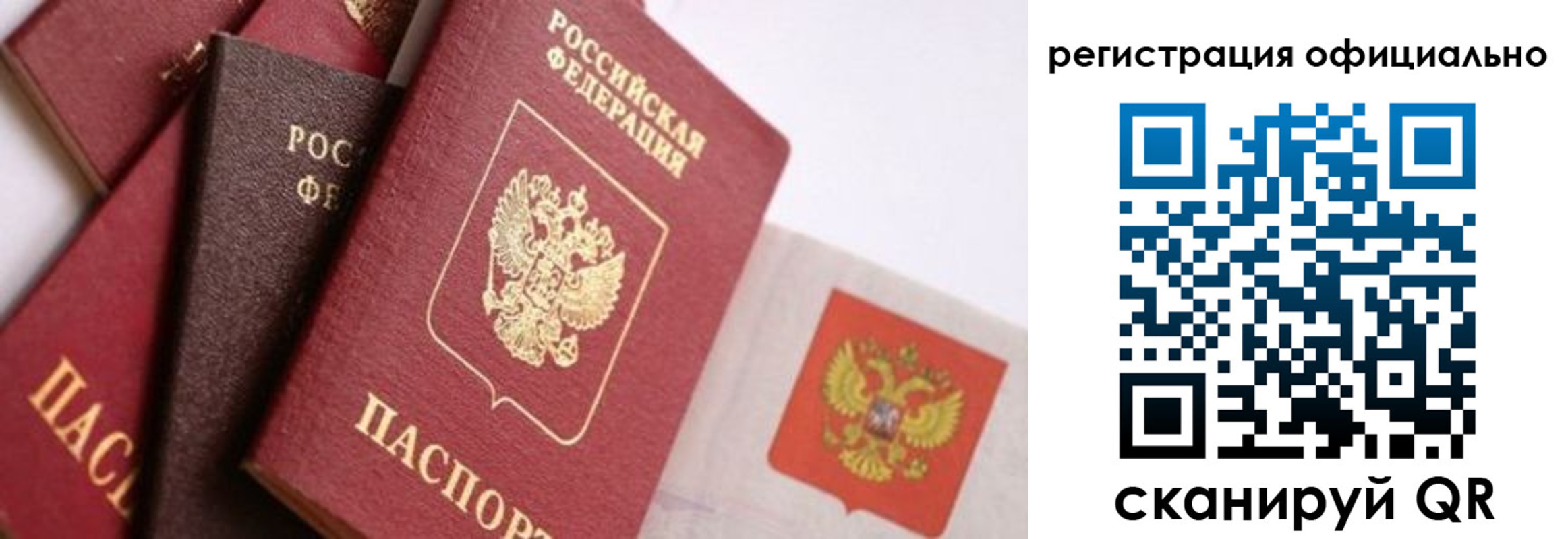 прописка гарантия в Светлом